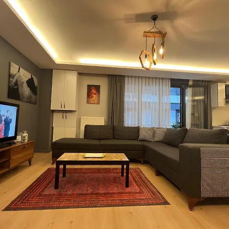 Cozy Unique Flat Hgyhomes1107 Close To The Memoriall Hospital At The Center *
